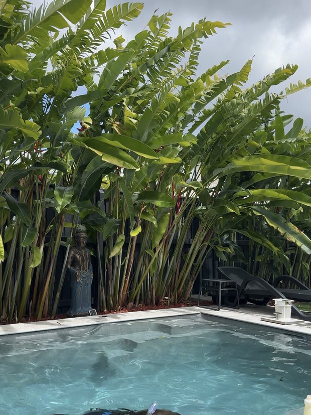 Checking a pool shell for leaks underwater